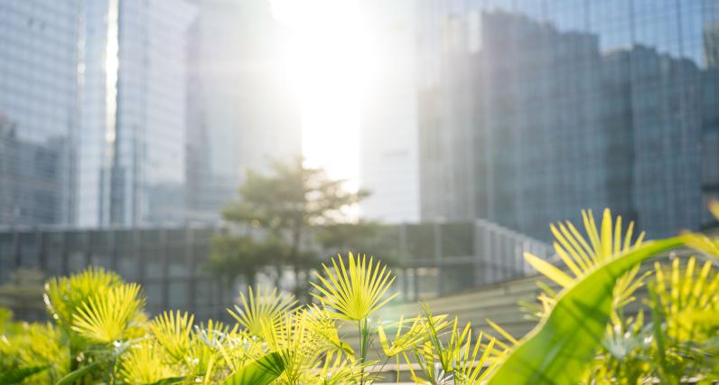 Bâtiment, green, décarbonation